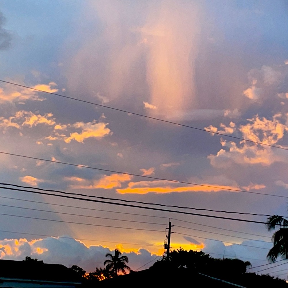 Meet your Posher, Elena